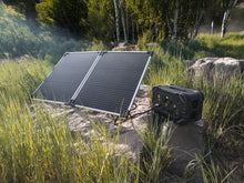 Load image into Gallery viewer, RECERTIFIED - Lion Summit