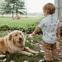 Load image into Gallery viewer, Dog Collar - USA Made