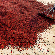 Load image into Gallery viewer, Tanzanian Peaberry