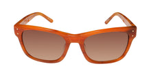 Load image into Gallery viewer, Isaac Mizrahi 30211 Sunglasses