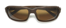 Load image into Gallery viewer, Eddie Bauer 32606p Sunglasses