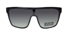 Load image into Gallery viewer, Sean John Sjs1009 Sunglasses