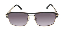 Load image into Gallery viewer, Sean John Sjs3006 Sunglasses