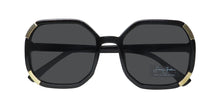 Load image into Gallery viewer, Sean John Sjs2035 Sunglasses