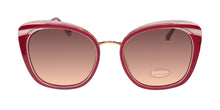 Load image into Gallery viewer, Bebe Bbop1001 Sunglasses