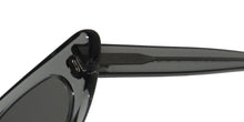 Load image into Gallery viewer, Andy Wolf Florence Sunglasses