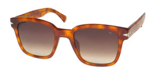 Load image into Gallery viewer, John Varvatos Sjv564 Sunglasses