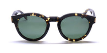 Load image into Gallery viewer, Just Cavalli Sjc025 Sunglasses