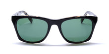 Load image into Gallery viewer, John Varvatos V515 Sunglasses