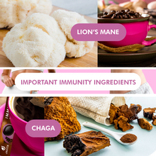 Load image into Gallery viewer, Javita Mushroom Coffee