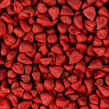 Load image into Gallery viewer, Annatto Seeds (Whole)