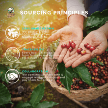 Load image into Gallery viewer, Castaway Coffee Monsoon Malabar K-Cup Pod 12 Count