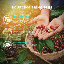 Load image into Gallery viewer, Medium-Dark Roast Starter Pack (Guatemalan Delight, Dark Roast, Cuban Espresso; 12OZ)