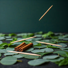 Load image into Gallery viewer, BiteMyWood world famous cinnamint toothpicks flavor profile description