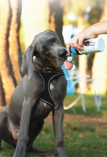 Load image into Gallery viewer, Dog Water Bottle: Never Walk Alone