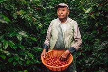 Load image into Gallery viewer, Finca Terrerito- Finca La Unica (Natural)