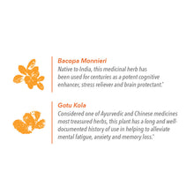 Load image into Gallery viewer, Javita Coffee Variety 3 Pack