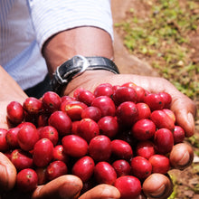 Load image into Gallery viewer, Tanzanian Peaberry
