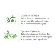 Load image into Gallery viewer, Lean + Green Tea