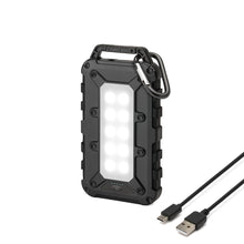 Load image into Gallery viewer, Lion Cub