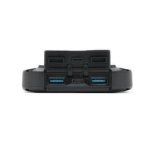 Load image into Gallery viewer, Lion Cub