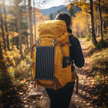 Load image into Gallery viewer, Lion Eclipse Mag