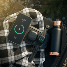 Load image into Gallery viewer, Lion Eclipse Mag