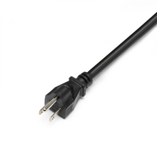 Load image into Gallery viewer, Lion Safari