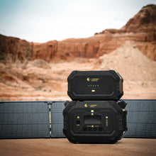 Load image into Gallery viewer, Lion Safari