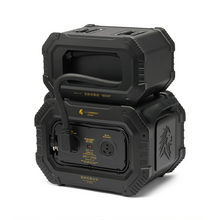 Load image into Gallery viewer, Lion Safari