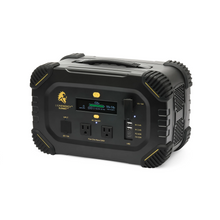 Load image into Gallery viewer, Lion Summit