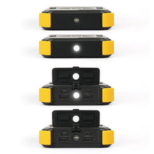 Load image into Gallery viewer, Lion Prowler