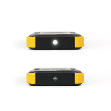 Load image into Gallery viewer, Lion Prowler