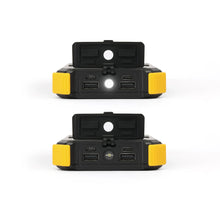 Load image into Gallery viewer, Lion Prowler