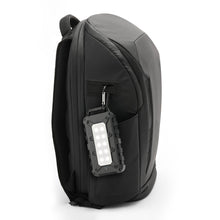 Load image into Gallery viewer, Lion Cub