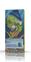 Load image into Gallery viewer, Castaway Coffee Golden Malabar Nespresso Capsule 10 Count