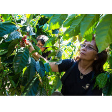 Load image into Gallery viewer, Made Like Iron Hawaiian Coffee