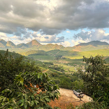 Load image into Gallery viewer, Brazil Matas de Minas