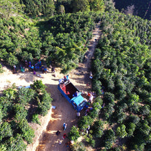 Load image into Gallery viewer, Costa Rica Tarrazu