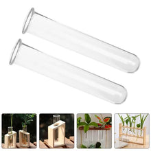 Load image into Gallery viewer, DecorBites™ Clear Glass Test Tube Vases for Plants