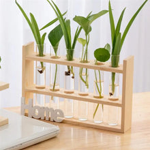 Load image into Gallery viewer, DecorBites™ Clear Glass Test Tube Vases for Plants