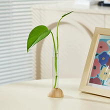 Load image into Gallery viewer, DecorBites™ Clear Plastic Test Tube Vase for Home Decor