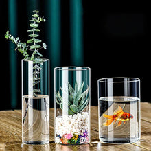Load image into Gallery viewer, DecorBites™ Elegant Glass Cylinder Vase for Flowers