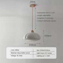 Load image into Gallery viewer, DecorBites™ Glass Pendant Lamps