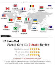 Load image into Gallery viewer, DecorBites™ Japanese Koi Cat Abstract Animals Canvas Wall Art