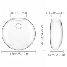 Load image into Gallery viewer, DecorBites™ Modern Hanging Glass Vase for Home Decor