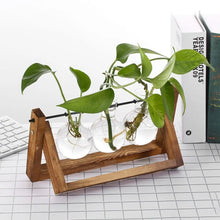 Load image into Gallery viewer, DecorBites™ Modern Wooden Frame Glass Vase Terrarium