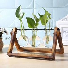 Load image into Gallery viewer, DecorBites™ Modern Wooden Frame Glass Vase Terrarium