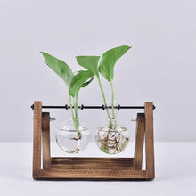 Load image into Gallery viewer, DecorBites™ Modern Wooden Frame Glass Vase Terrarium