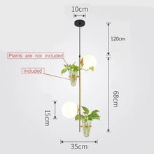 Load image into Gallery viewer, DecorBites™ Pendant Planter Light